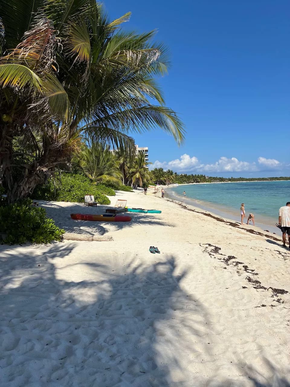 Les meilleures activités aquatiques à Playa del Carmen en août